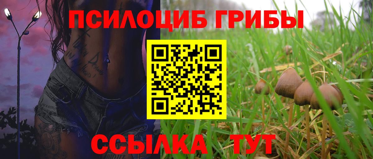 Реж  Галлюциногенные грибы Psilocybine cubensis  Вход с VPN 