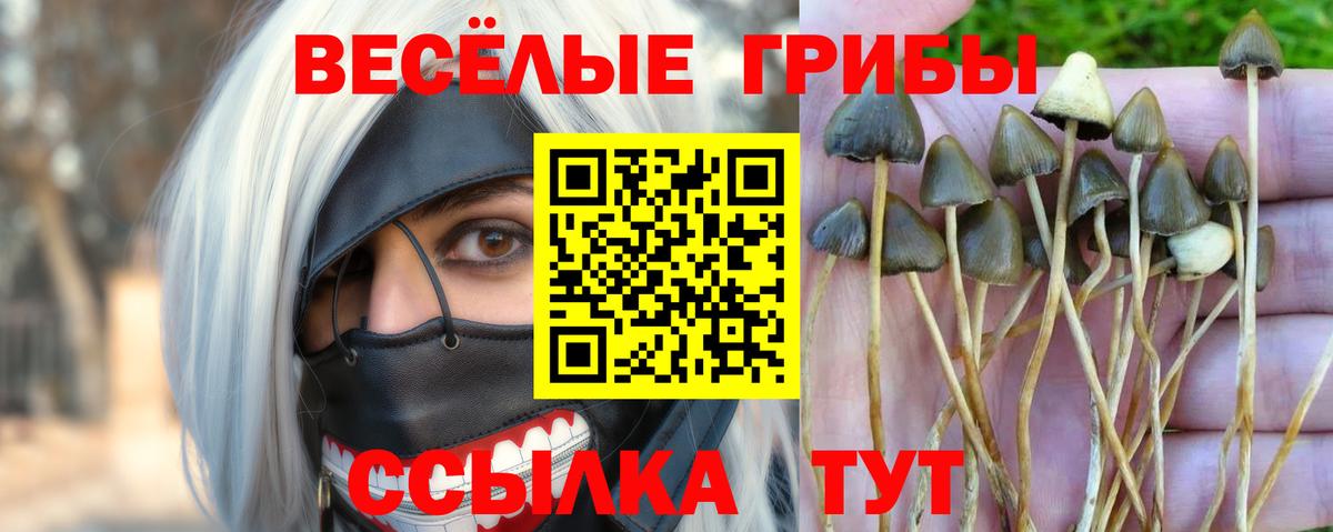 Псилоцибиновые грибы прущие грибы Реж